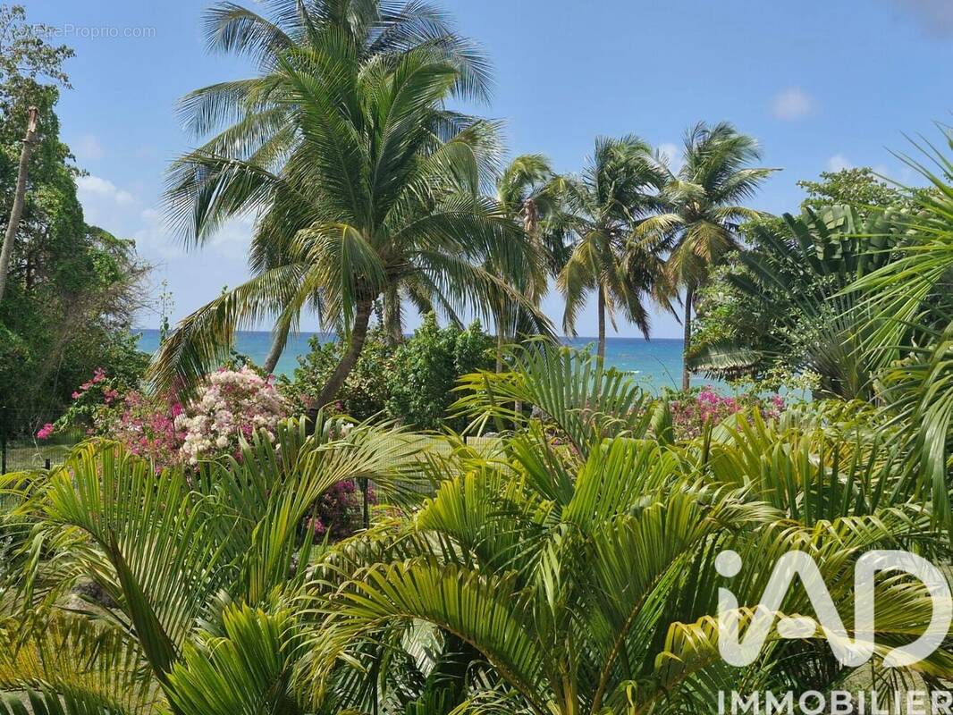 Photo 1 - Appartement à LE GOSIER