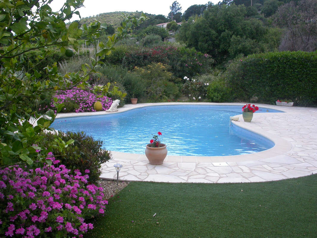 Maison à PLAN-DE-LA-TOUR