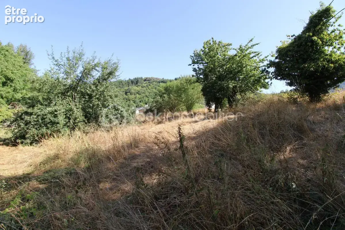 Terrain à SAINT-JEAN-DU-BRUEL