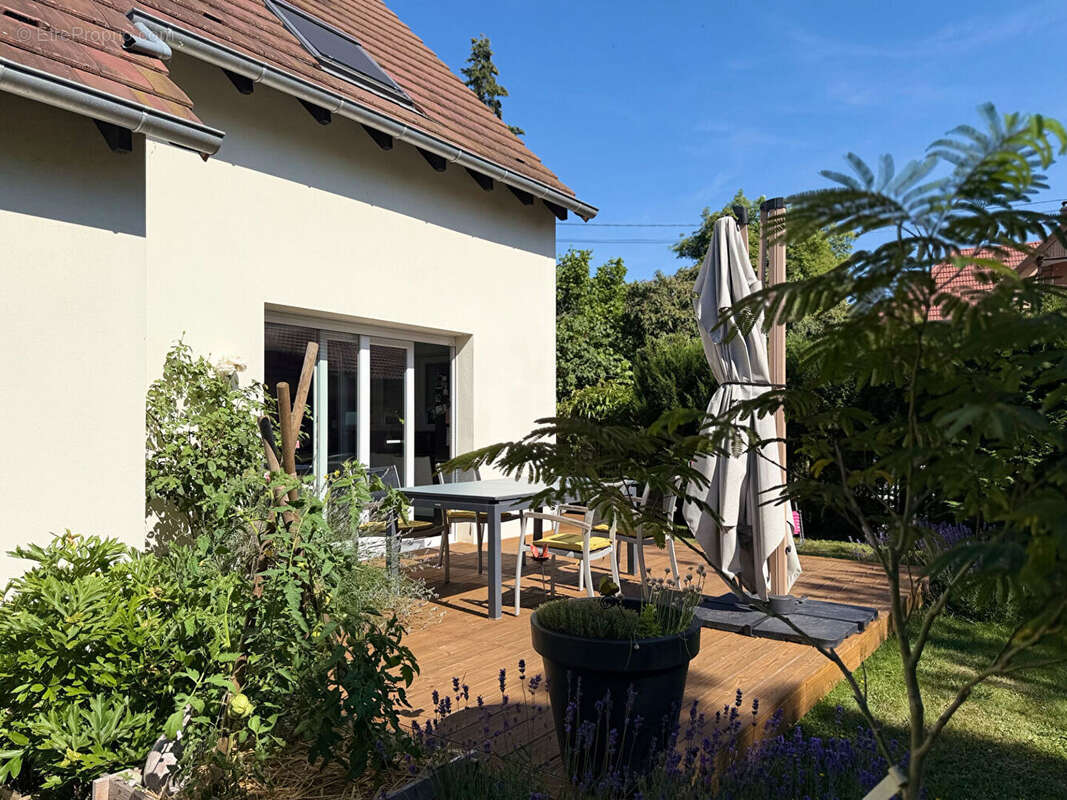 Maison à MOLSHEIM