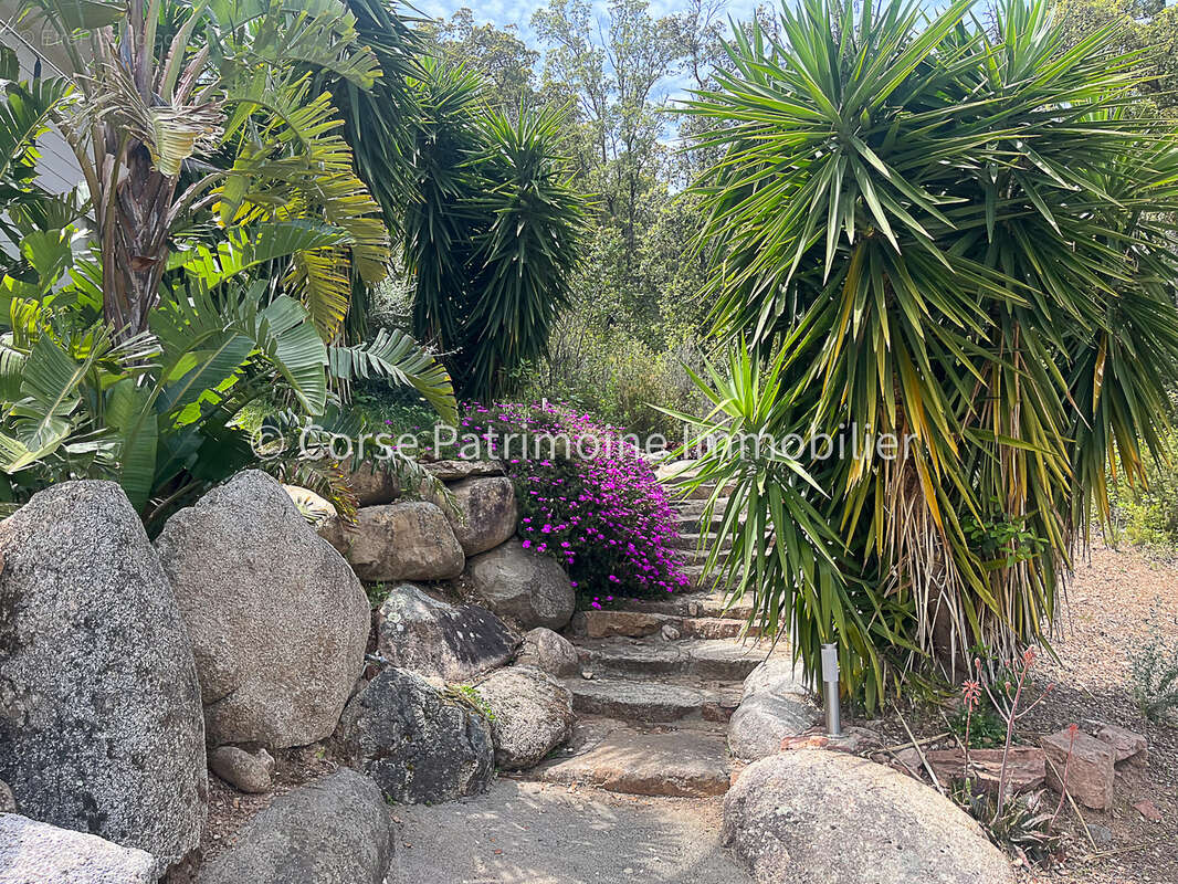 Maison à PORTO-VECCHIO