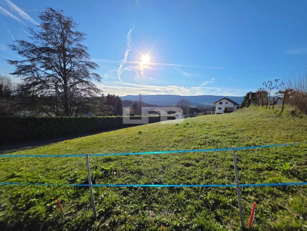 Terrain à HAUTEVILLE-SUR-FIER