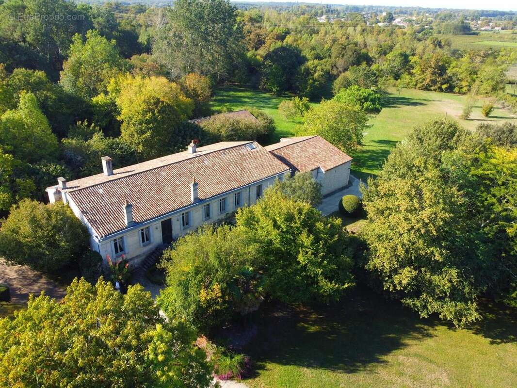 Photo 2 - Maison à MOULIS-EN-MEDOC