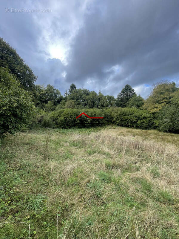 Maison à SAINT-PIERRE-BELLEVUE