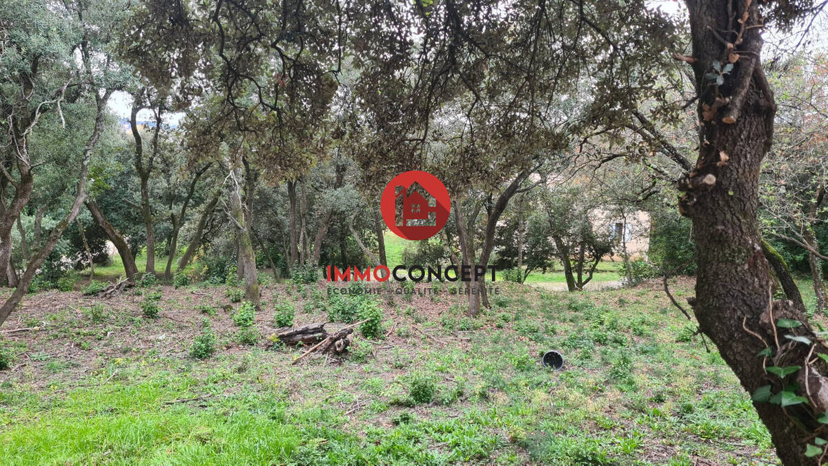 Terrain à MONTFAUCON