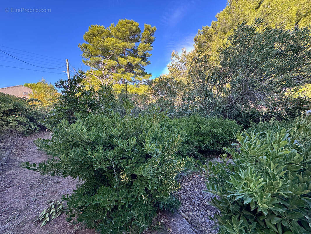 Maison à L&#039;ILE-ROUSSE