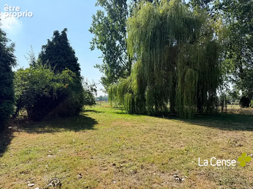 Templeuve - maison semi plain-pied batie sur 5000 m² - photo 7