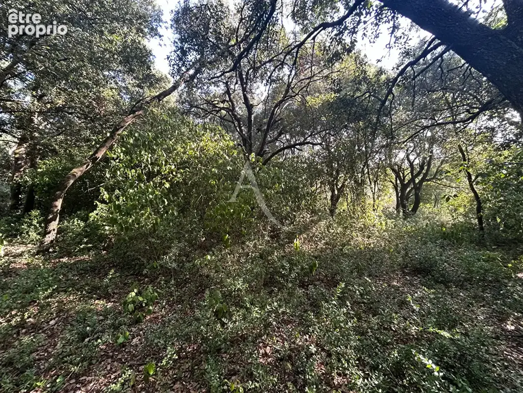 Terrain à bâtir de 1 390 m²  superbe environnement et vue dégagée - photo 2