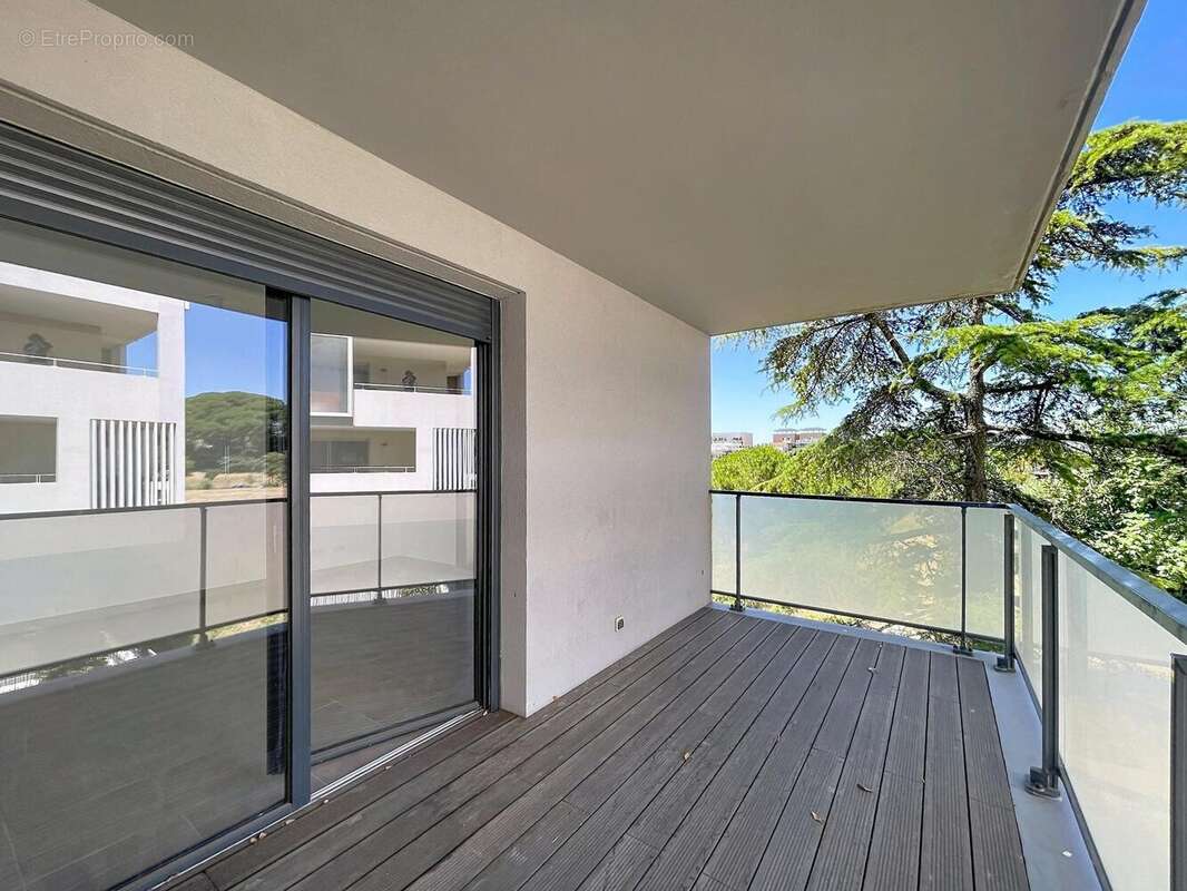 Photo 2 - Appartement à MONTPELLIER