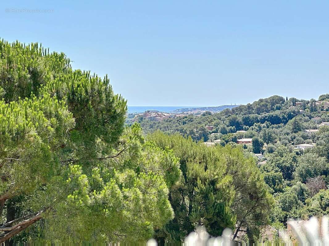 GRANDE VILLA BIOT (06410) vue mer du salon et des chambres - photo 46