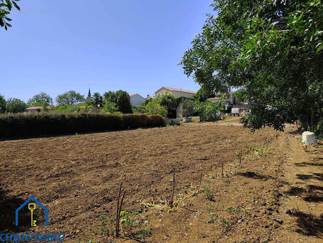 Terrain avec vue dégagée sur la campagne   À 5 min de Chantonnay - photo 3