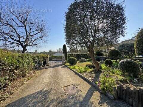 Maison à ROQUEFORT-LES-PINS