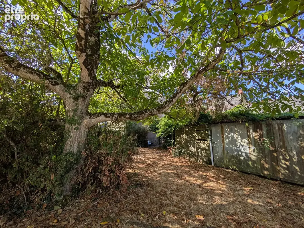 Saint-dolay - photo 15
