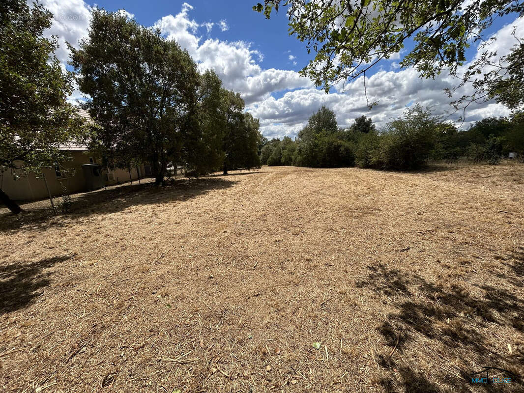 Terrain 2921 m² à Villeneuve  - photo 4