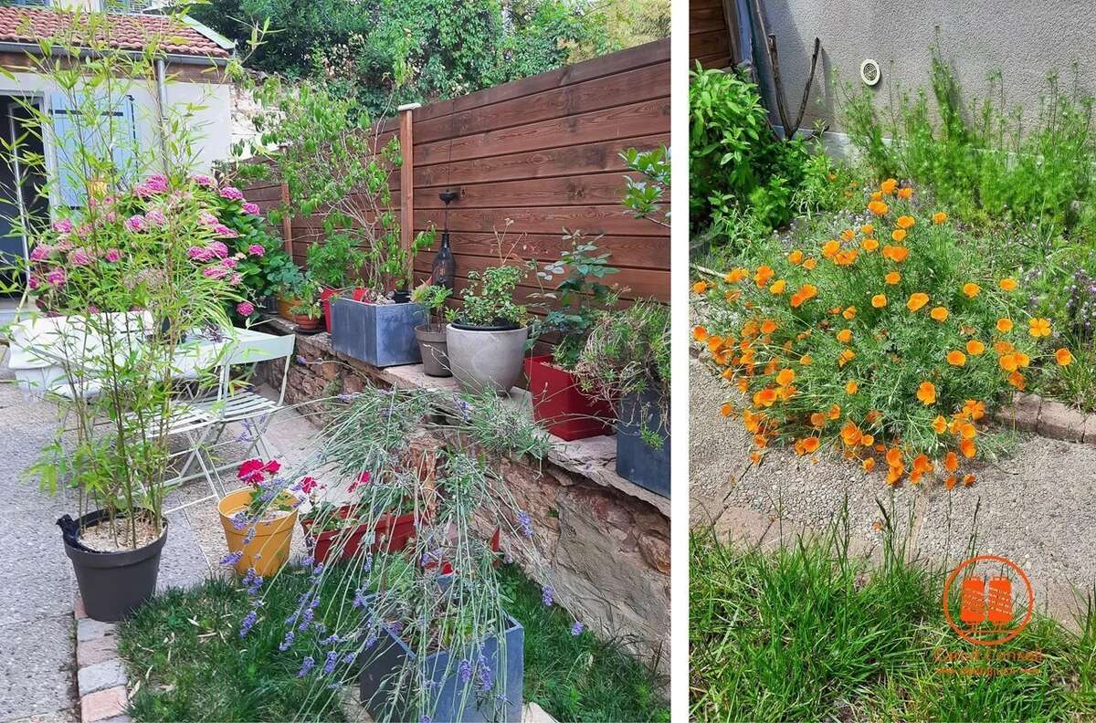 Appartement à CALUIRE-ET-CUIRE