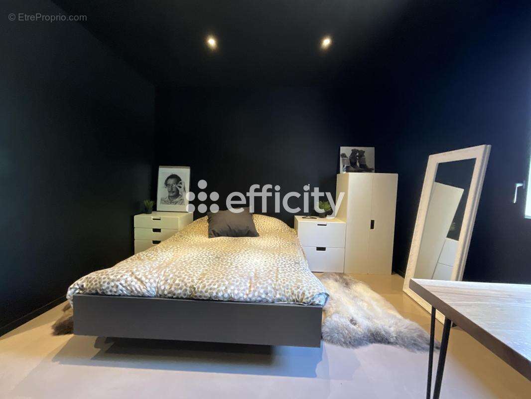 Maison 261 m² à Saint-Lager-Bressac  - photo 13