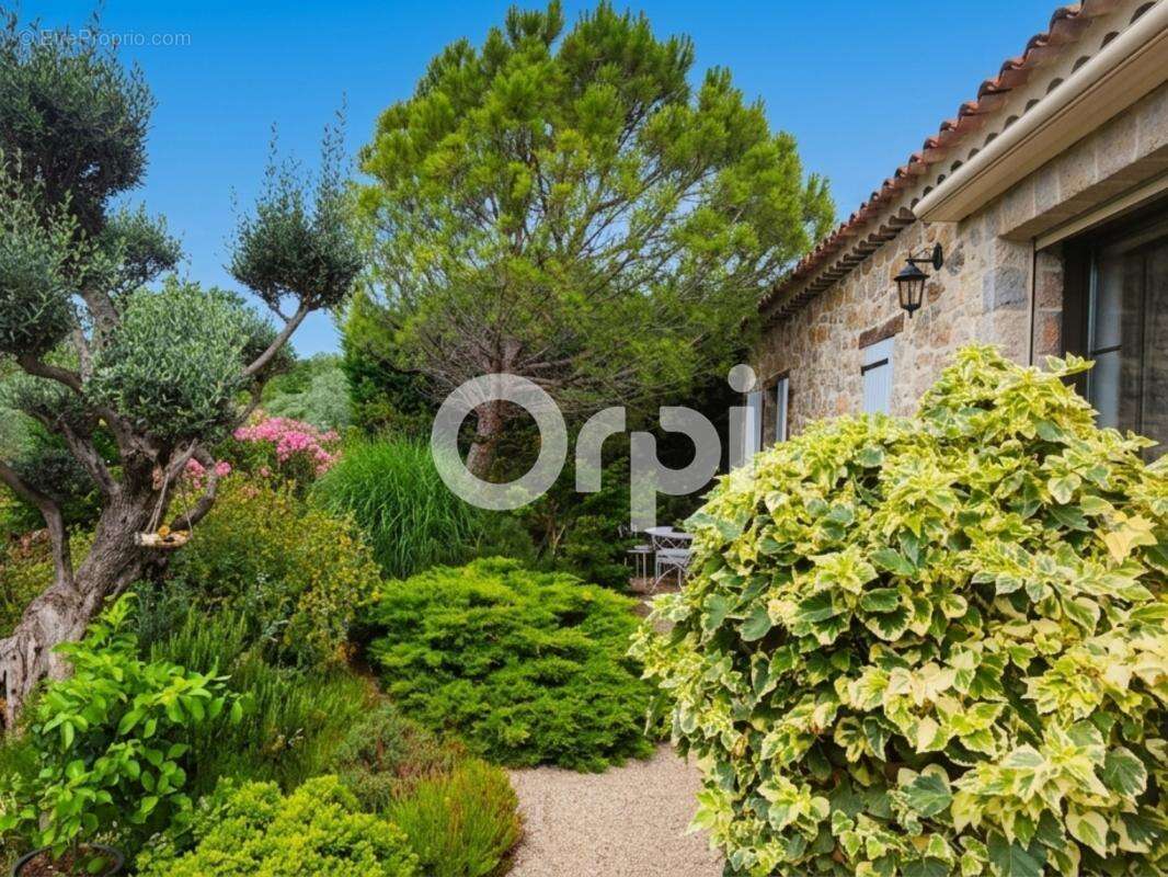 Bastide/mas en pierres authentique renové - calme absolu - terrain / oliviers - photo 13