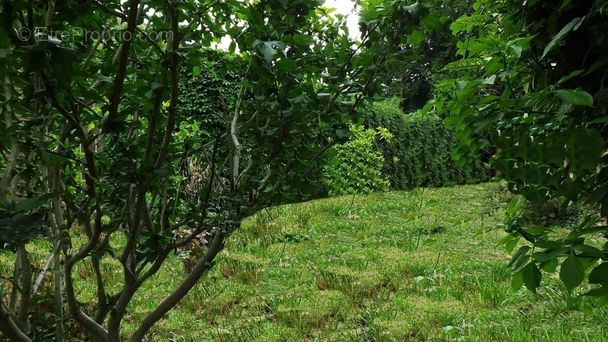 Maison à AVESNES-SUR-HELPE