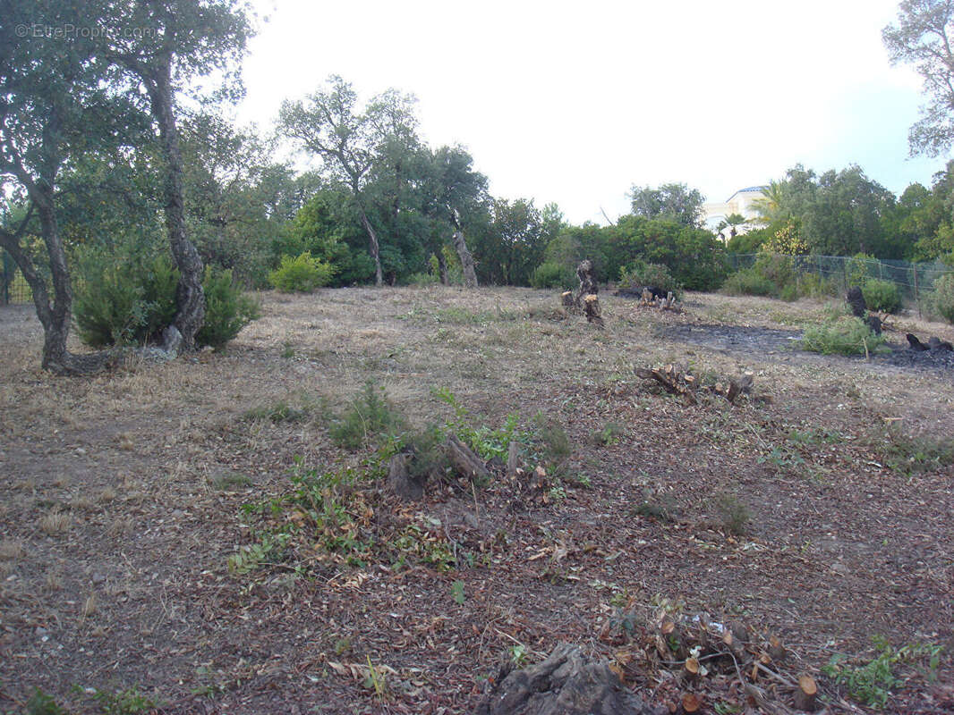 Terrain à LES ISSAMBRES