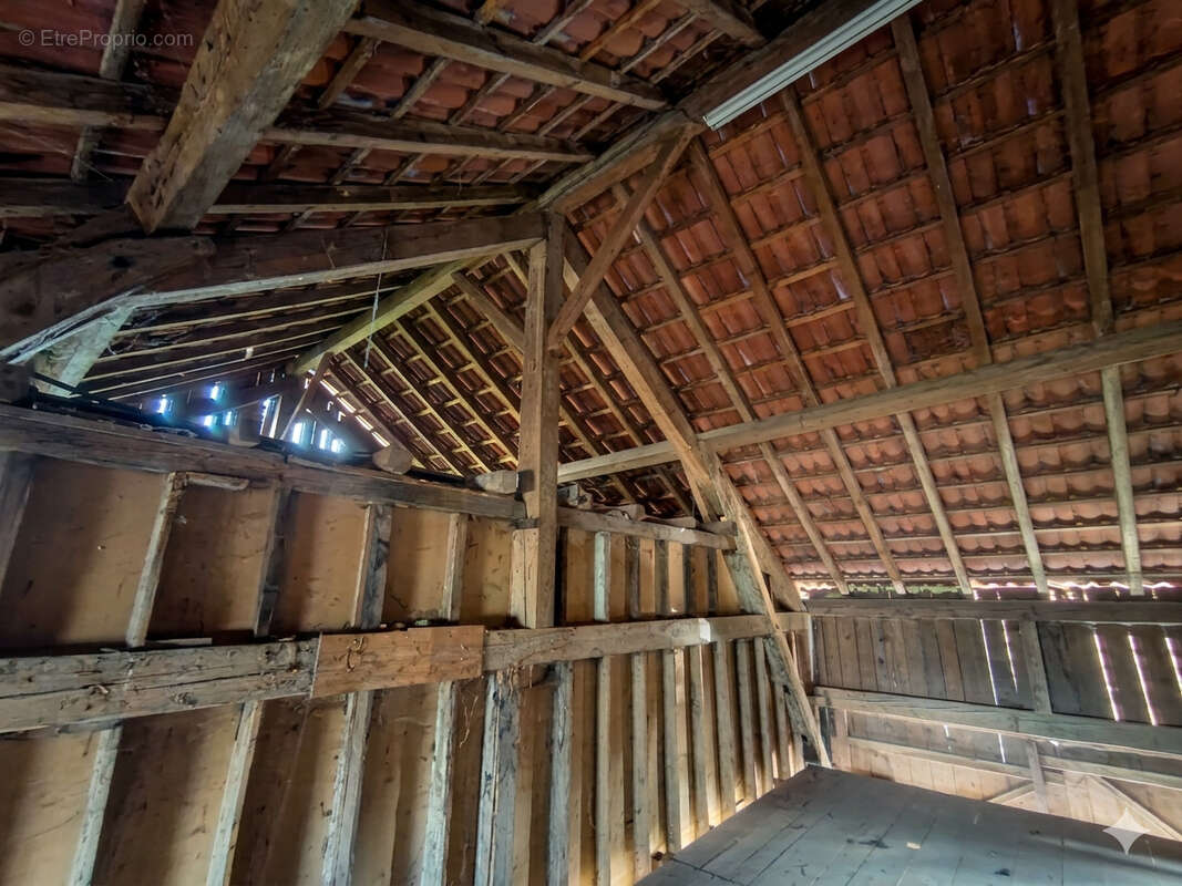 Maison à CHAVANNES-SUR-L'ETANG