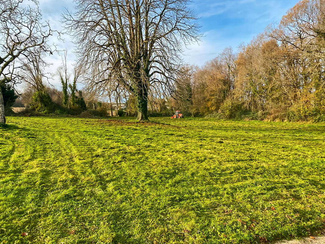 Maison à SAINT-GENIS-DE-SAINTONGE