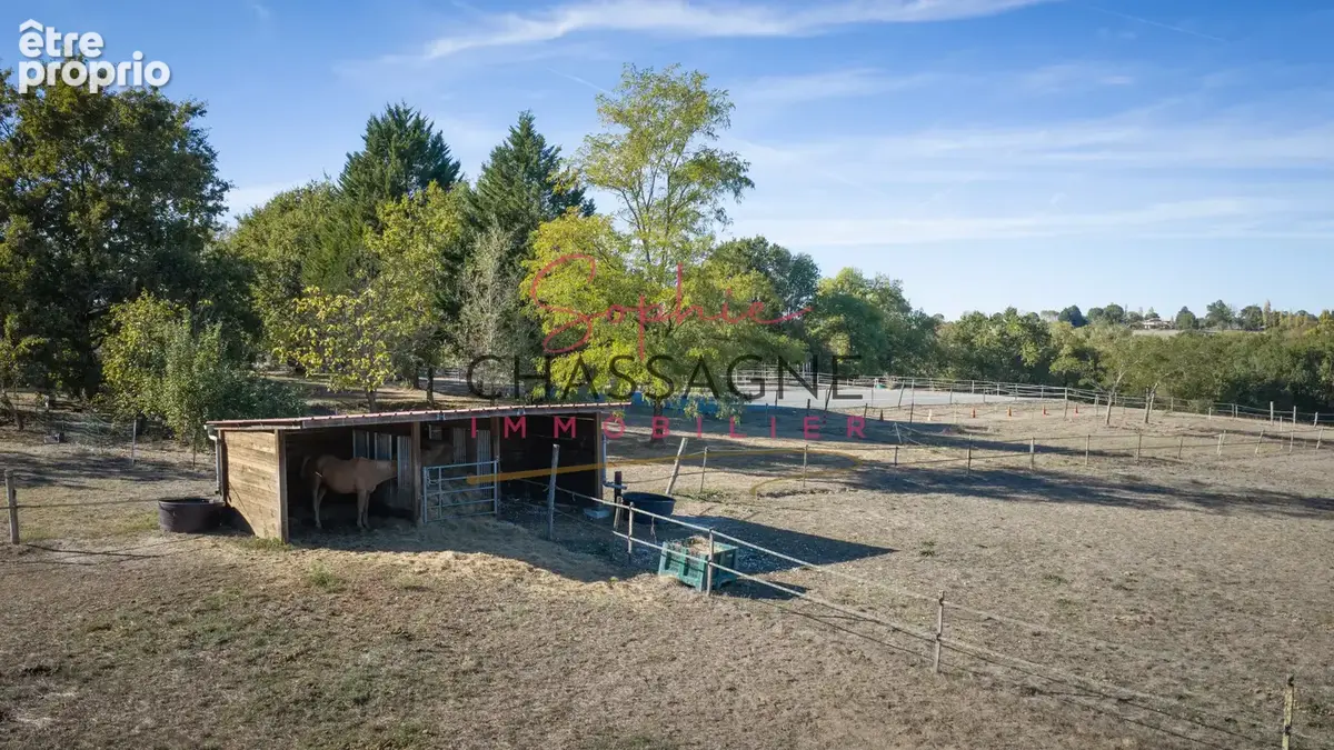 Propriété équestre en pierre de 350 m2 sur 10 hectares - photo 3