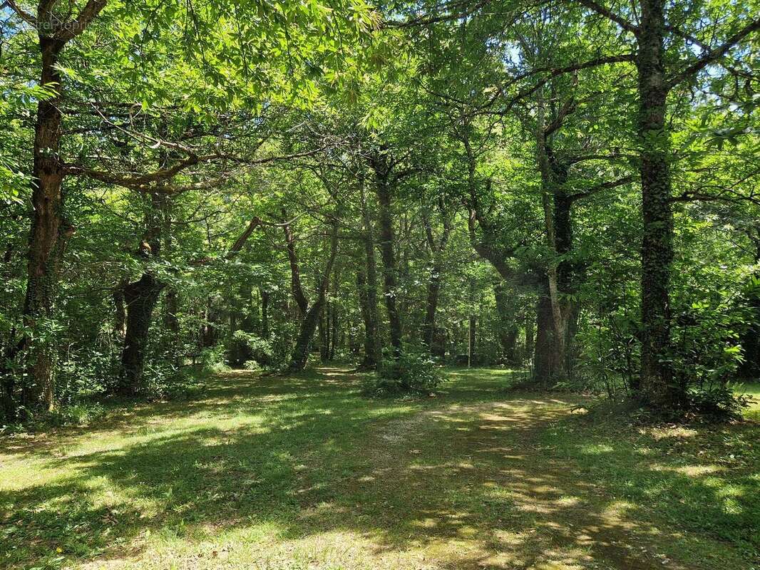 Ensemble périgordin rénové, ses deux roulottes et terrain de plus de 4 ha. - photo 14