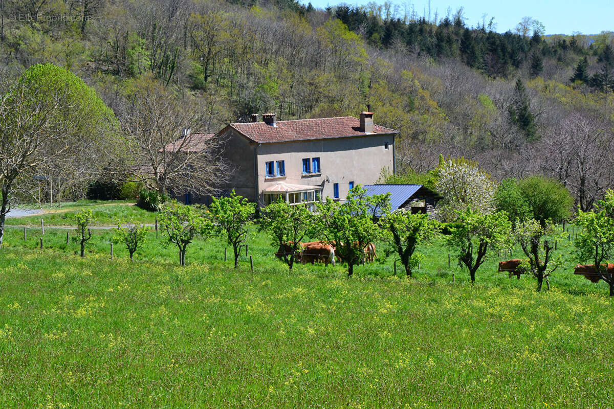 Courniou rare ancienne Ferme ensemble d'habiations de 300m² sur 1770 m² - photo 2