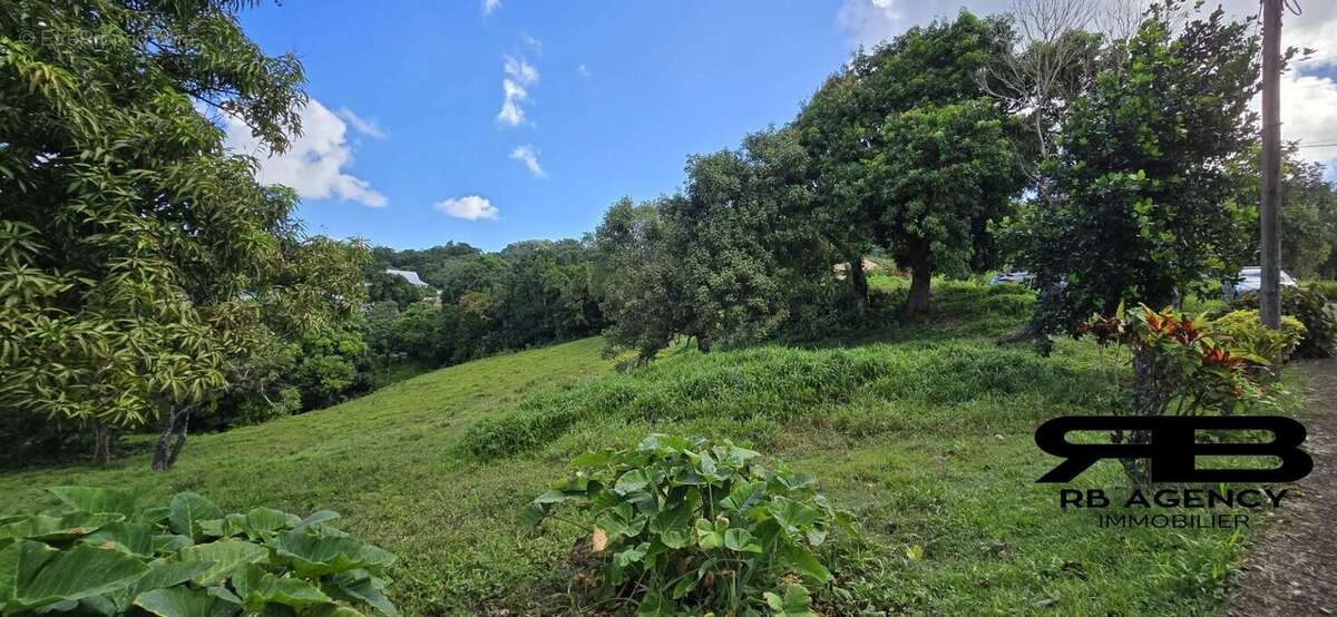 Terrain à LE ROBERT