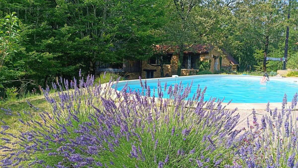Maison Saint Leon Sur Vezere 5 pièce(s) 150.79 m2 - photo 8