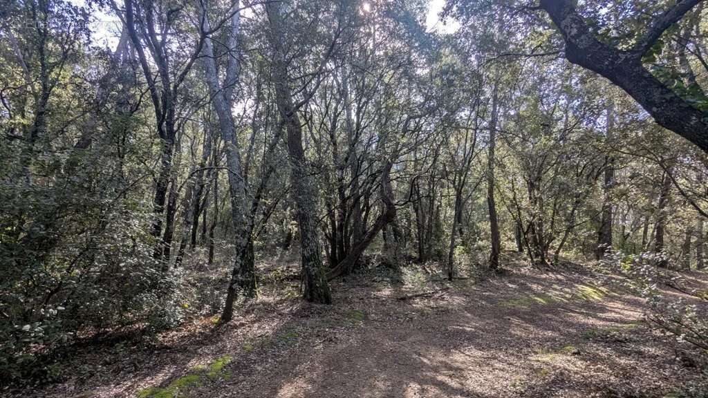 Terrain à ENTRECASTEAUX