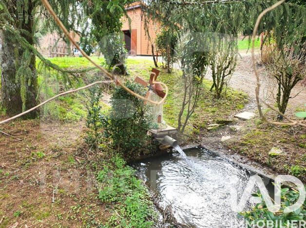 Photo 1 - Terrain à MONTEMBOEUF