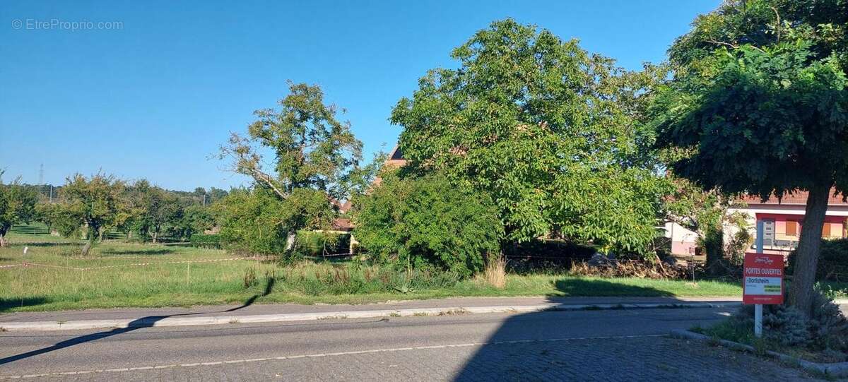 Photo 8 - Terrain à DORLISHEIM