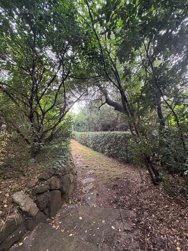 Maison à SAINT-RAPHAEL