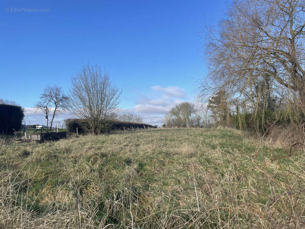 Terrain à BROUSSEY-RAULECOURT