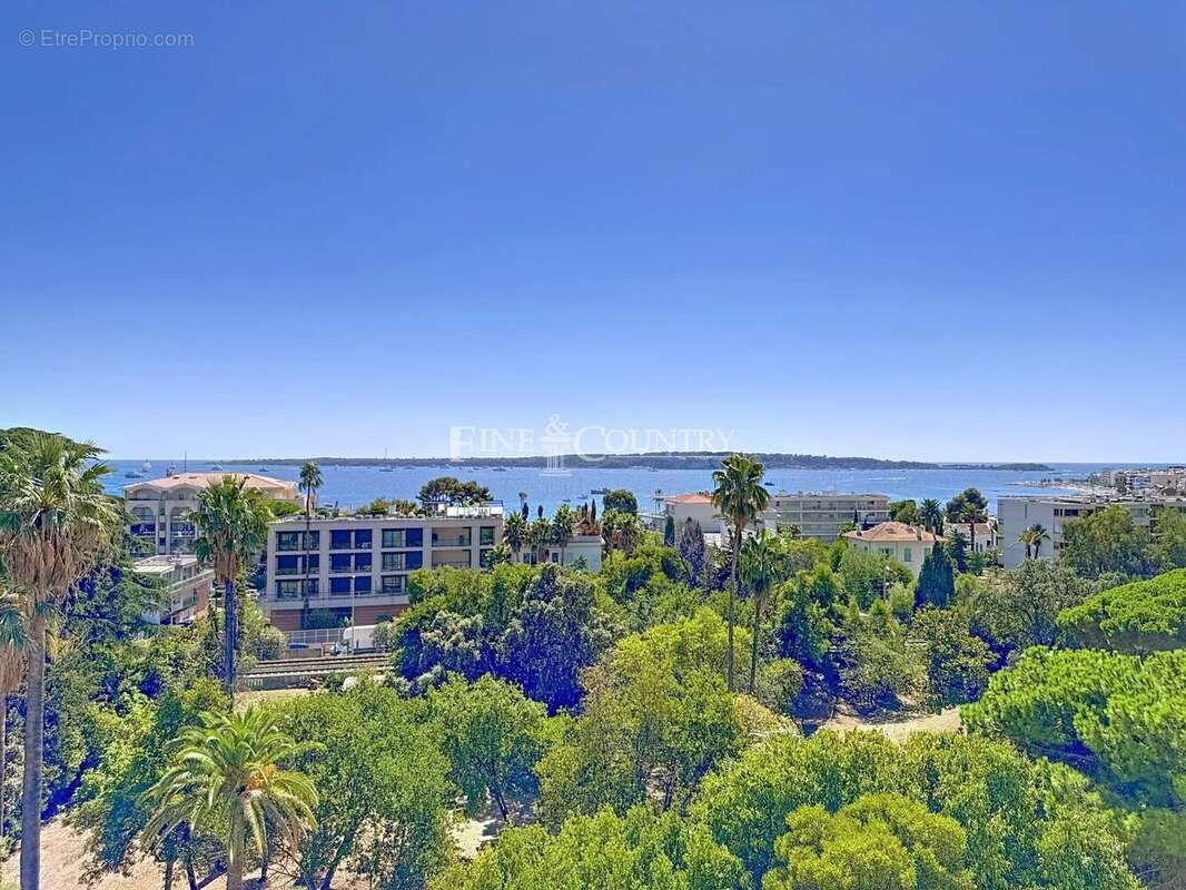 Vente Appartement Bourgeois Vue Mer à Cannes - photo 19