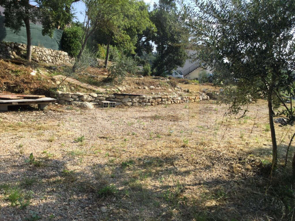 Terrain à MONTFORT-SUR-ARGENS