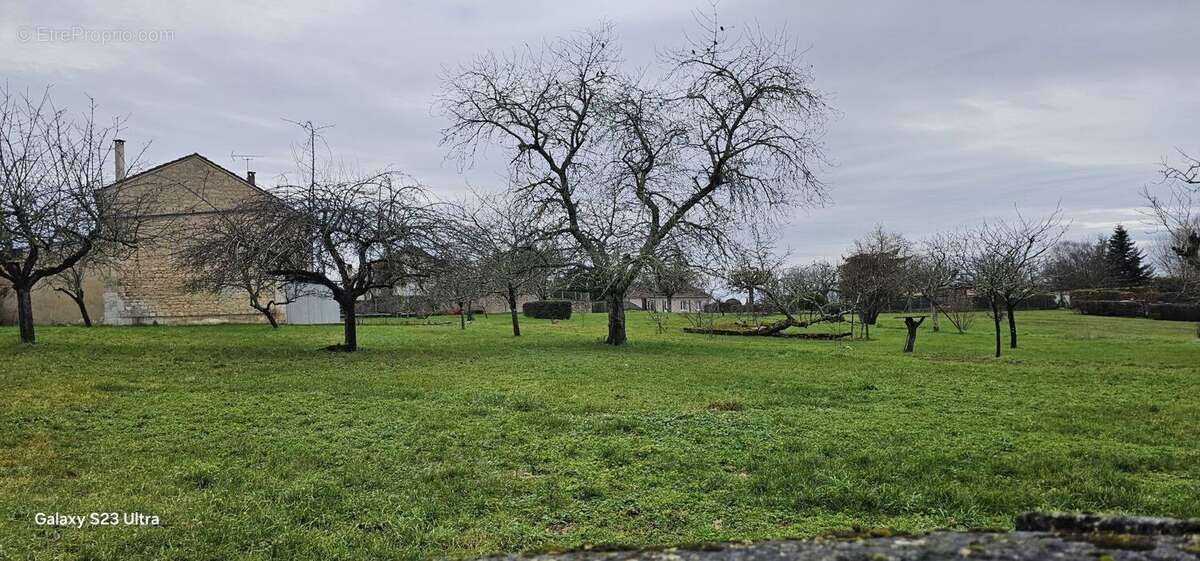 Terrain à MAGNAC-SUR-TOUVRE
