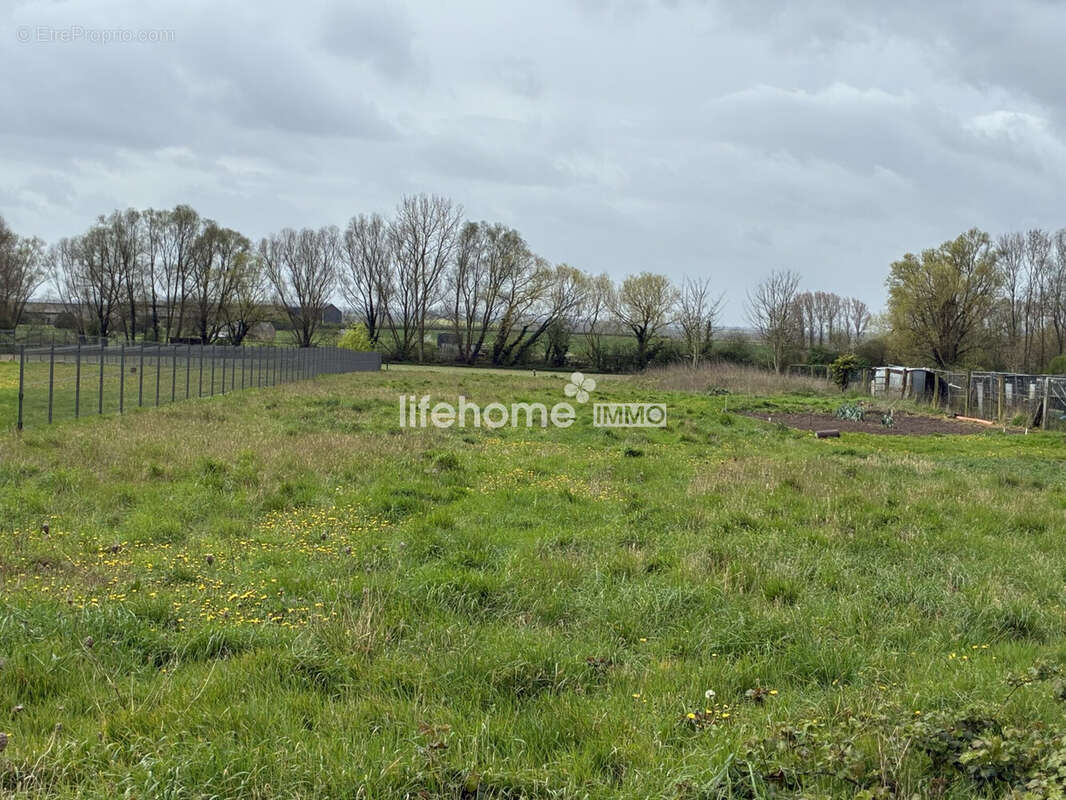Terrain à FRESSAIN