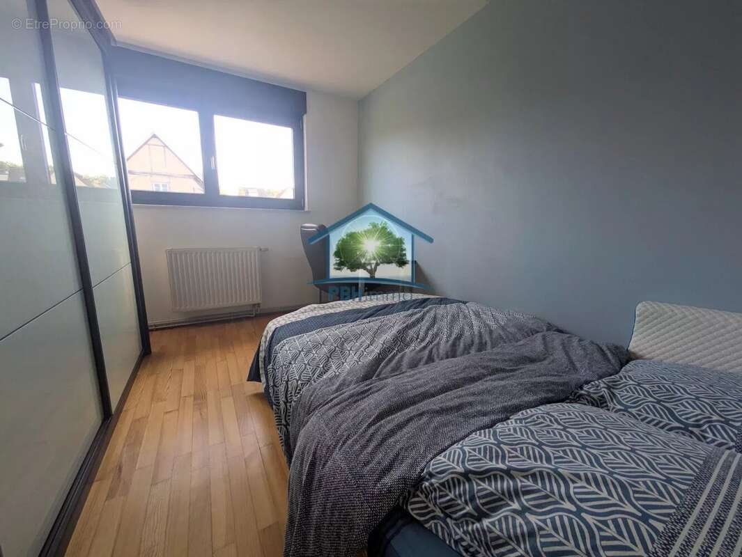 OBERMODERN (67) - Maison 130m² (165m² au sol) avec Cave, Dépendances (160m²) et Jardin sur 10.30 ares - photo 15