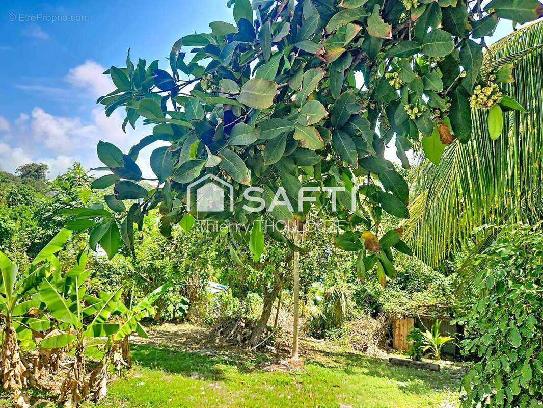 Photo 6 - Maison à LE GOSIER