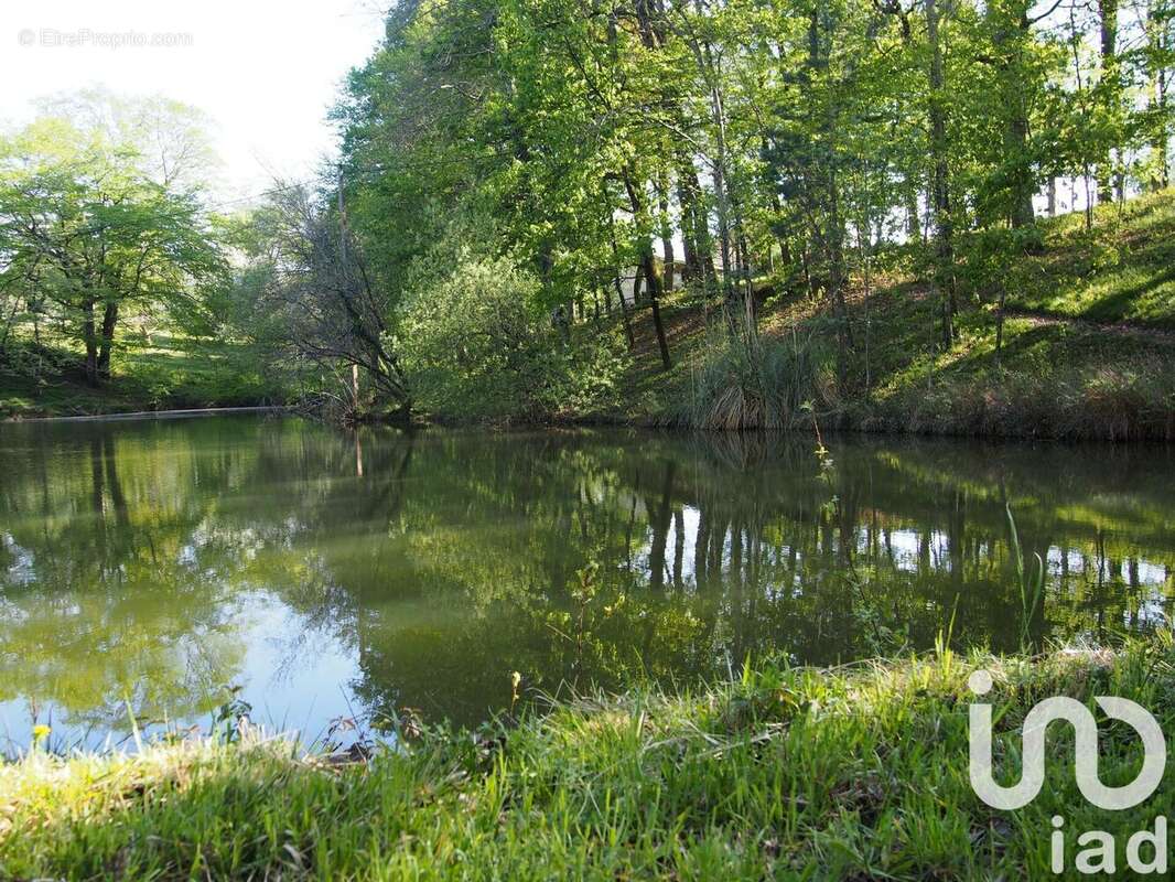 Photo 3 - Maison à BEAUPUY