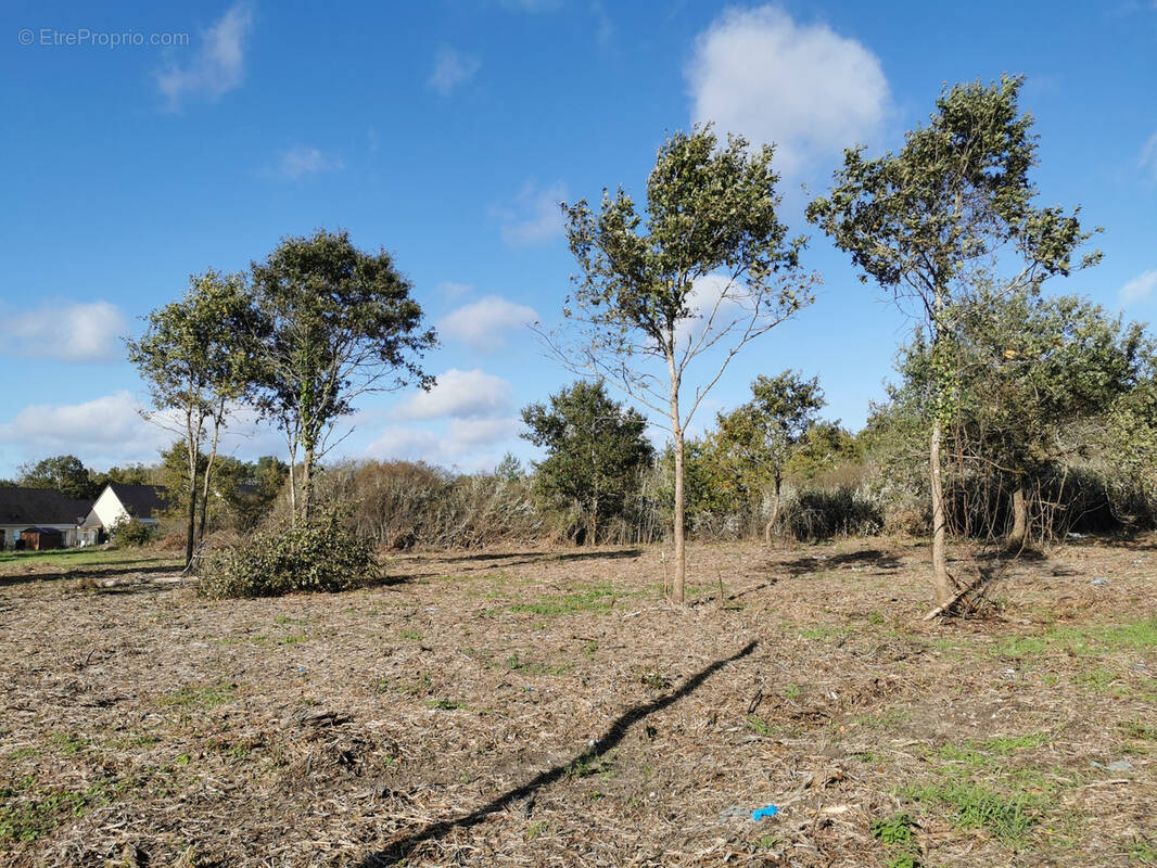 Terrain à ROMORANTIN-LANTHENAY