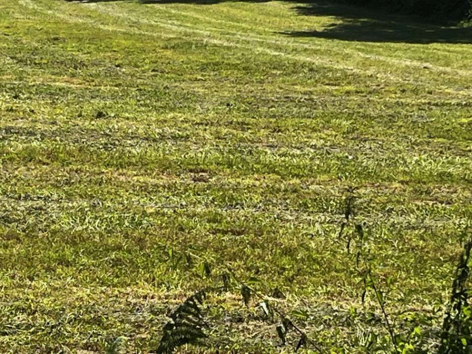 Terrain à JAZENNES