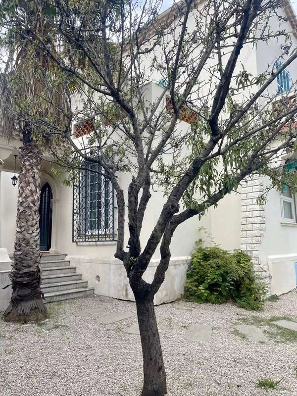 CAGNES-SUR-MER: EXCEPTIONNEL Maison 9 Pièces avec très grand  terrain - photo 4