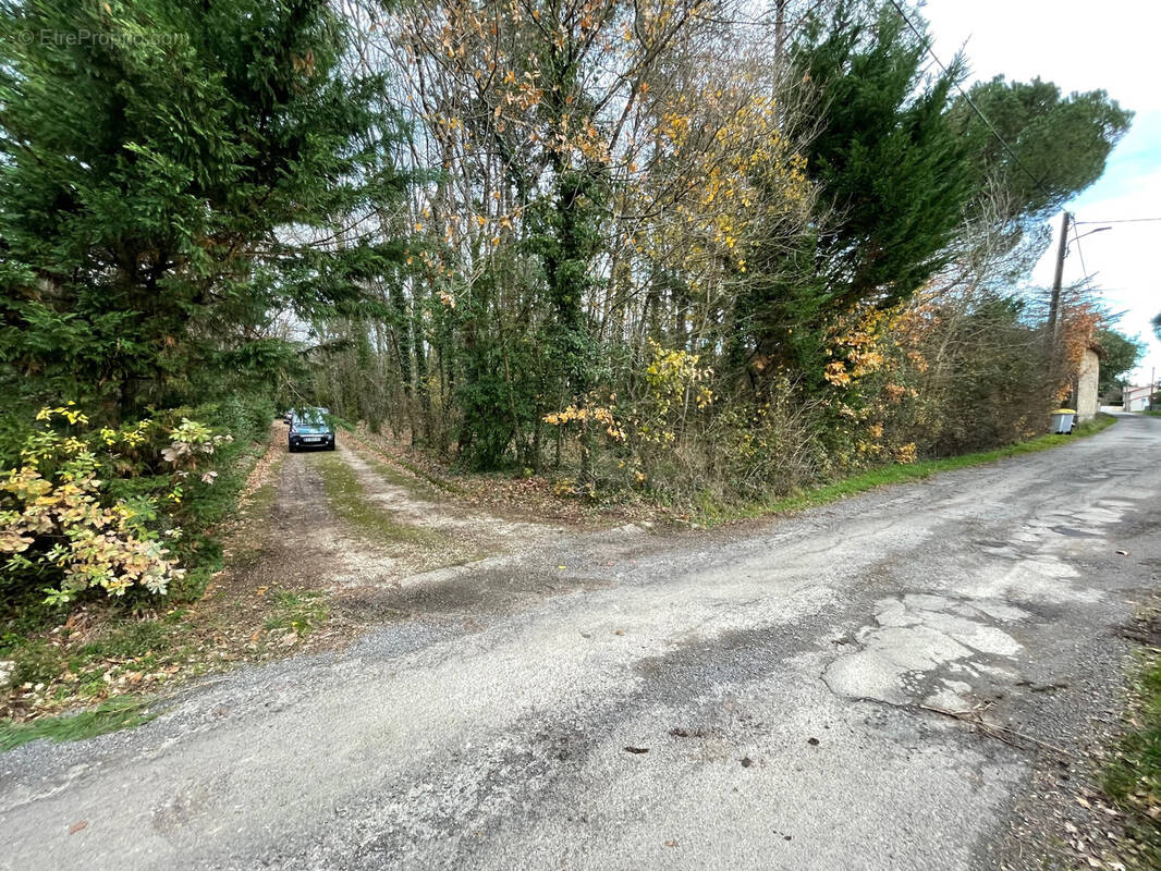Terrain à MIGNALOUX-BEAUVOIR
