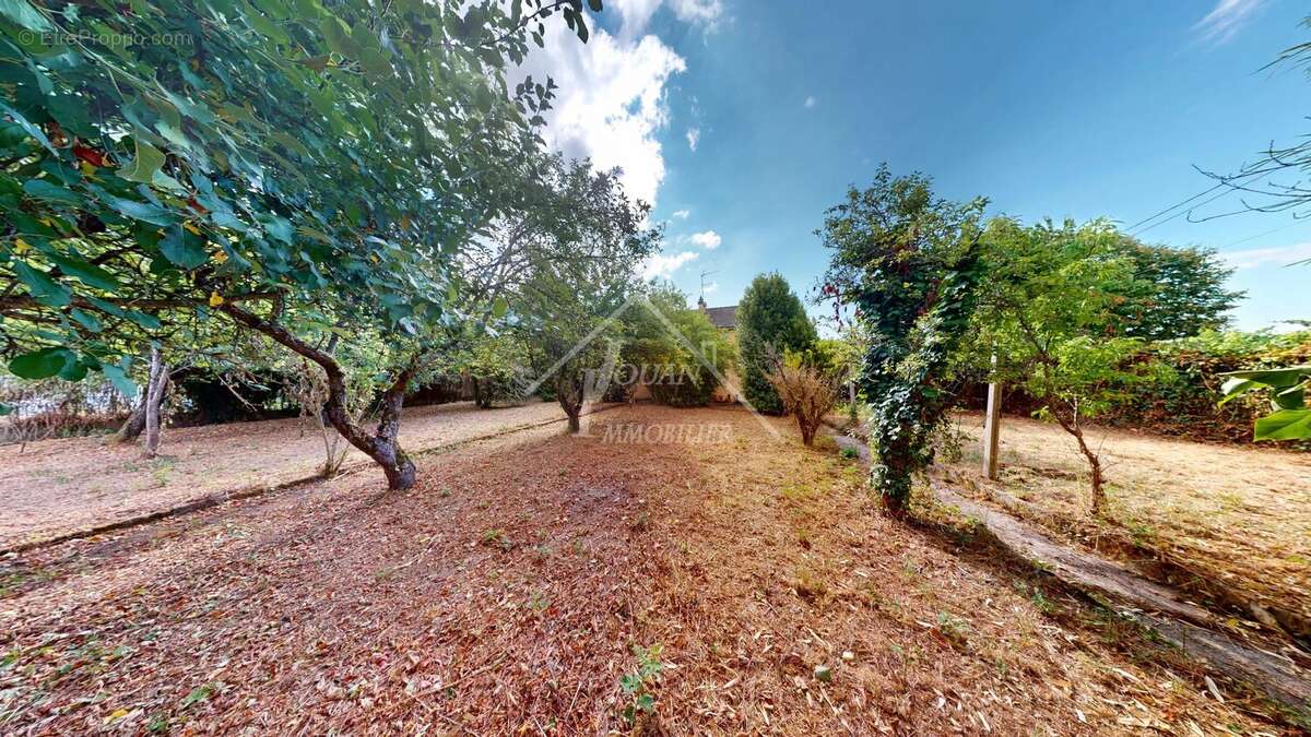 Maison lumineuse de 82 m² à Diou avec jardin - photo 5