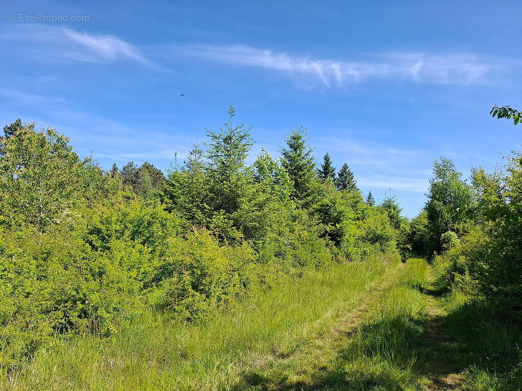 Autre à BADONVILLIERS-GERAUVILLIERS