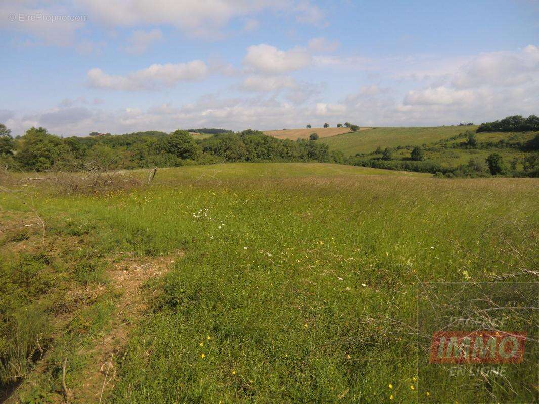 Terrain agricole - photo 5