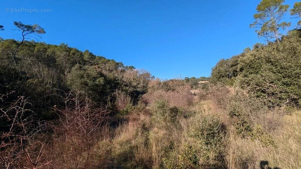 Terrain à LE THORONET